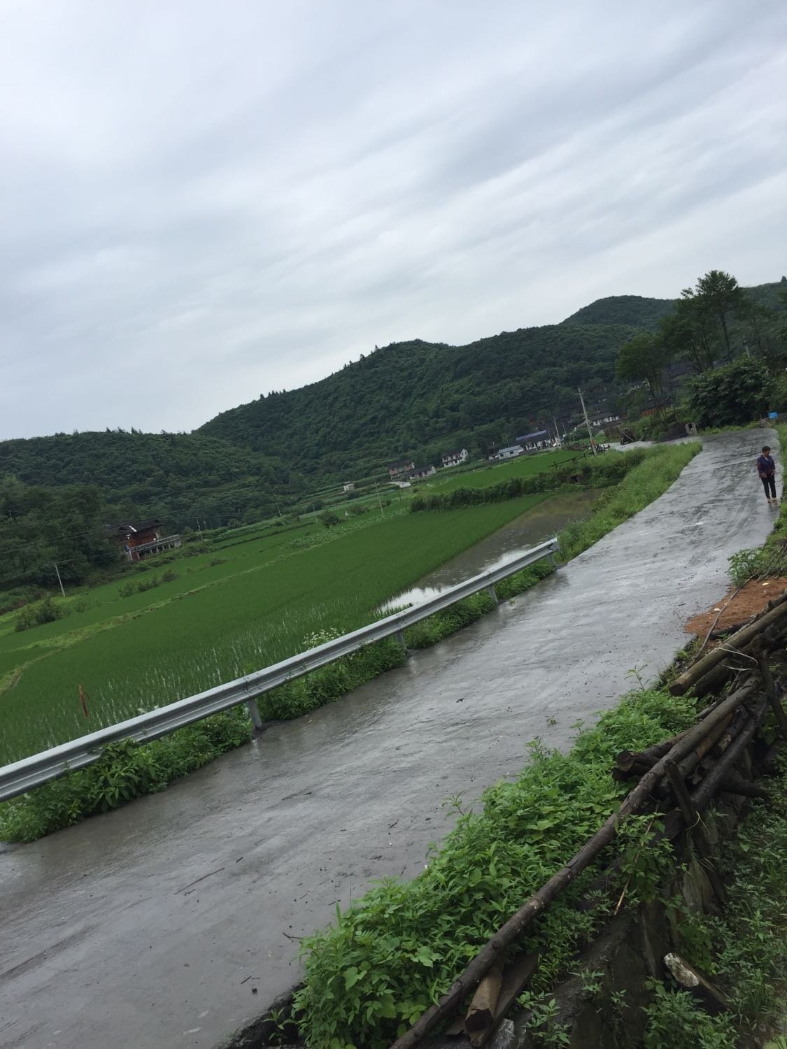 思村天气预报更新通知