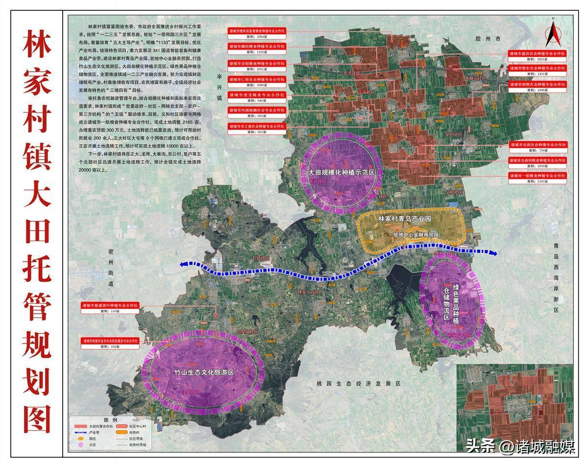 林扒镇未来繁荣蓝图，最新发展规划揭秘