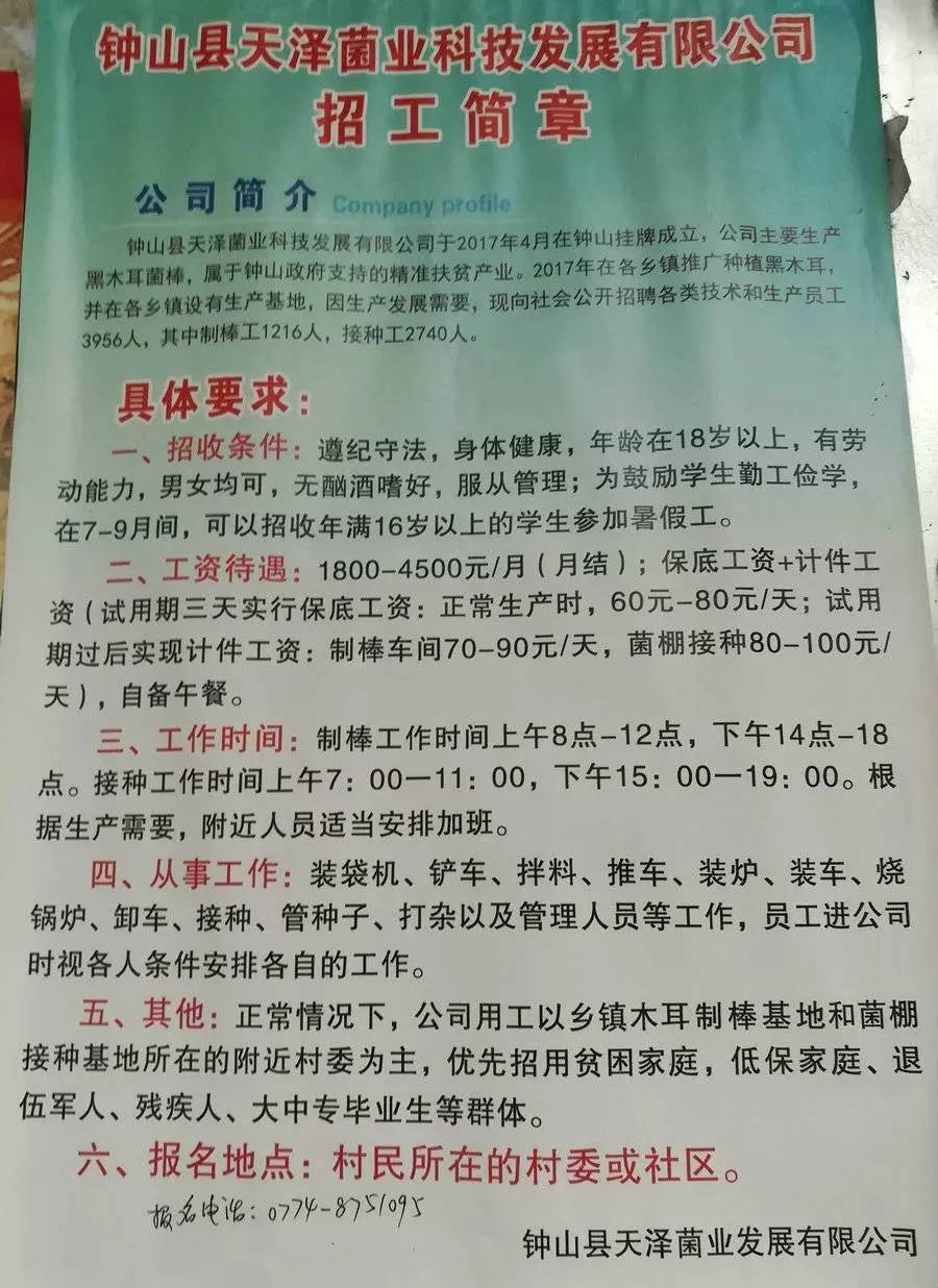 日岗村招聘信息更新与就业市场深度解析