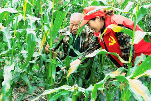 差那乡新项目引领乡村振兴新引擎