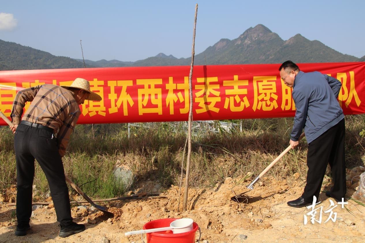 丰顺县数据和政务服务局推动数字化转型，优化政务服务新进展