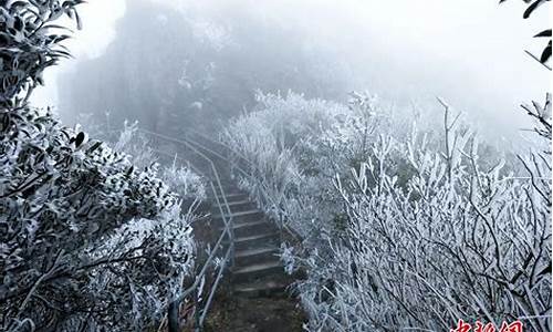 金子山乡天气预报与应对建议