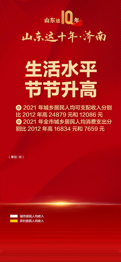 济南市城市社会经济调查队未来发展规划展望